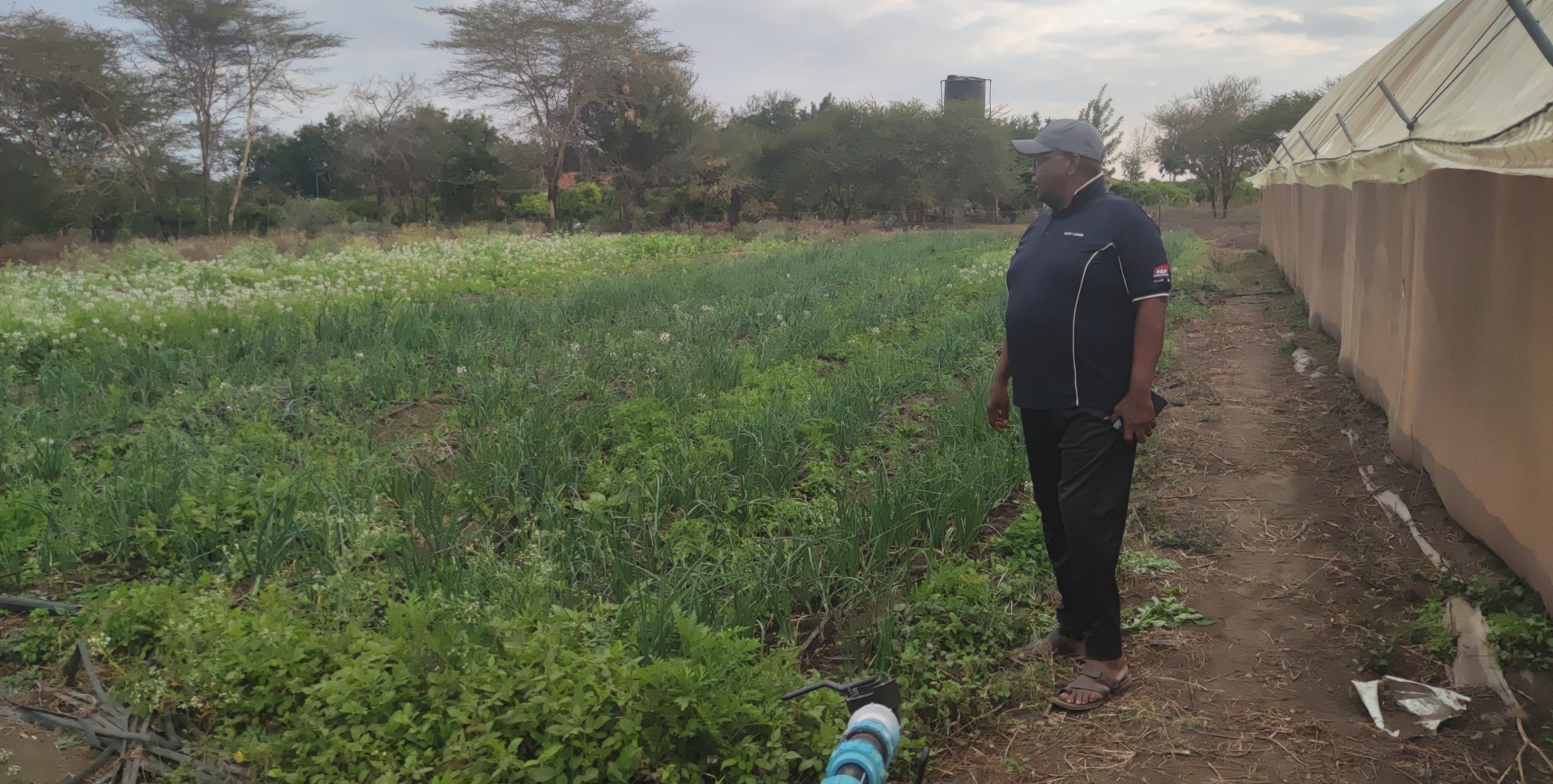 Economic Empowerment